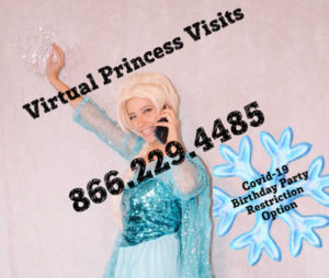 ZOOM Princess Parties, Virtual Princess Party