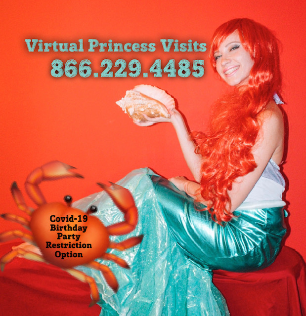 ZOOM with a Princess, ZOOM Princess Parties