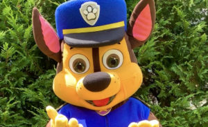 Paw Patrol Characters for Kids Parties