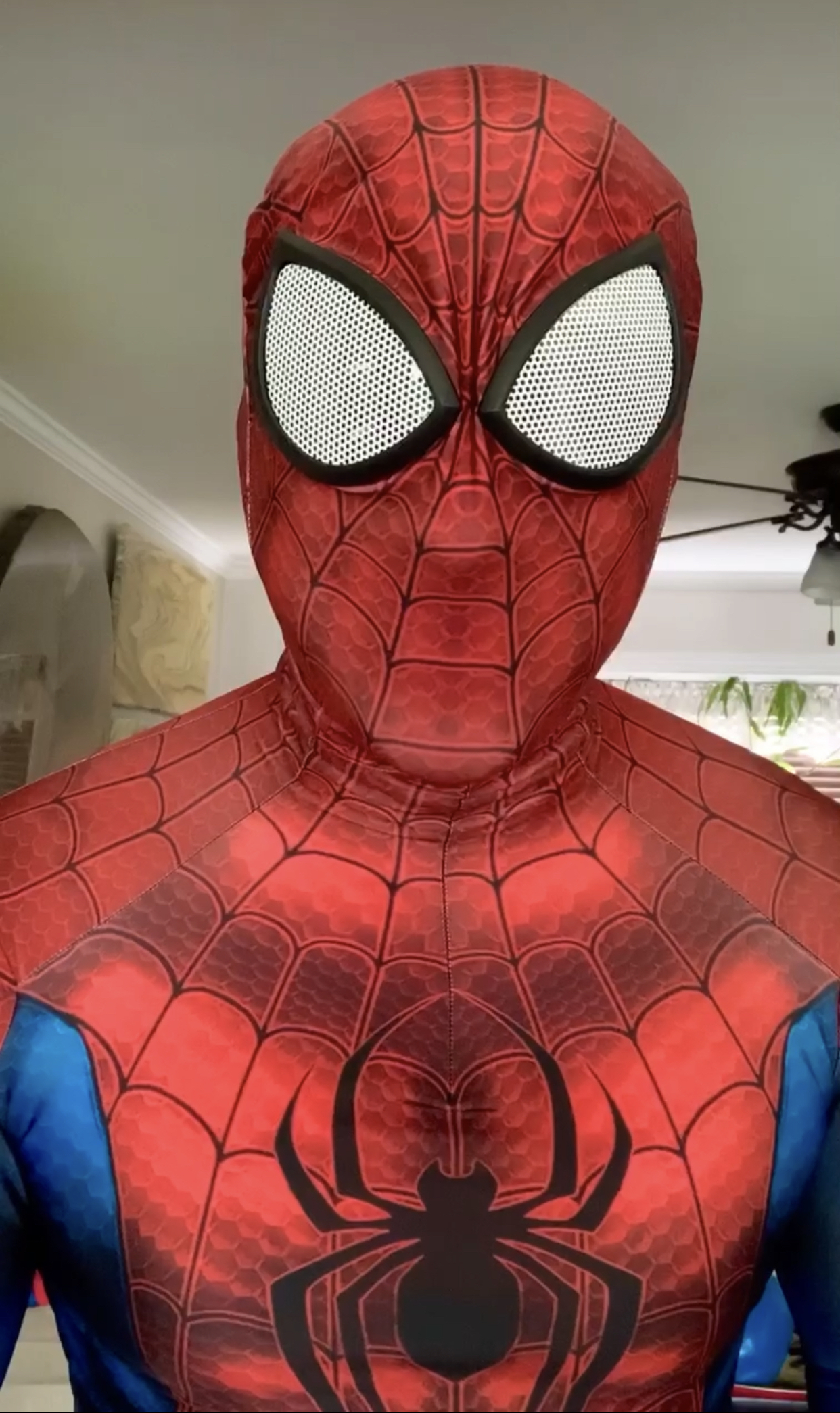NJ Superhero Parties, Hire a Spiderman Near Me for a Birthday